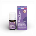 真正ラベンダー精油(在来種)