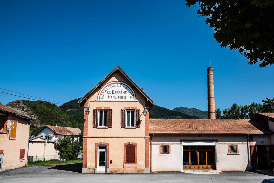 真正ラベンダーの聖地｜ブルーダルジャン農園がフランス無形文化遺産に登録